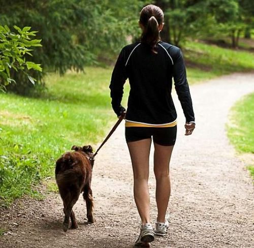 Woman walking her dog in the park