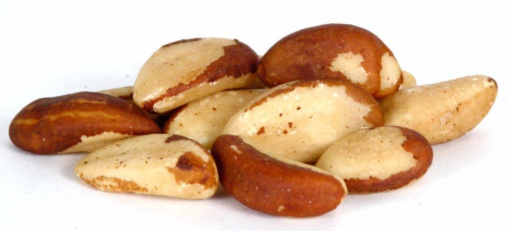Brazil-Nuts-1024x467