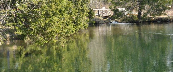 DSC_4092-690x290