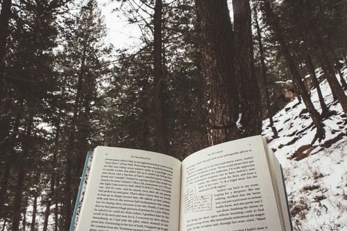 book-forest-tumbler-tumblr-Favim.com-3979705