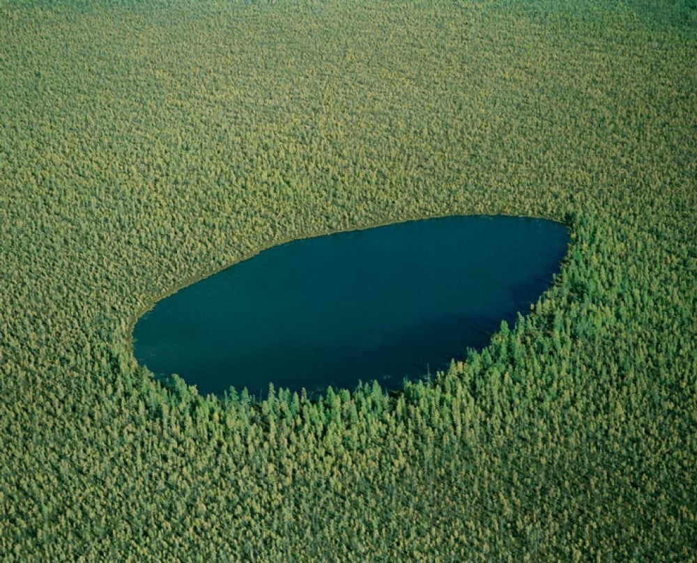 01-forrest_lake_russia