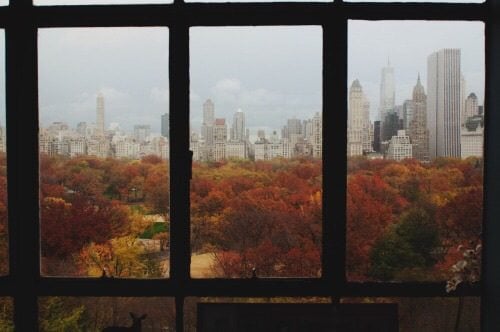 windowaurumn