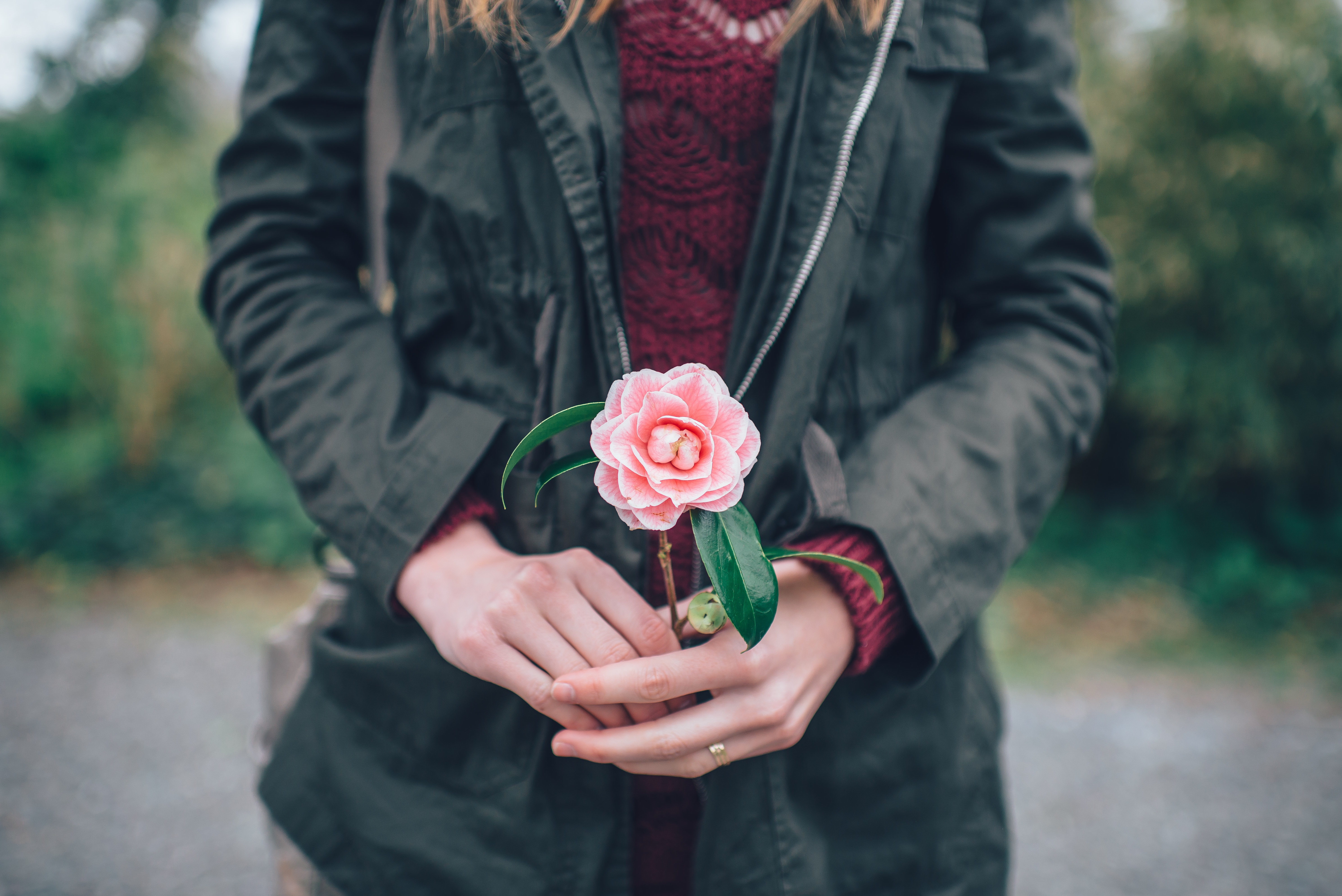 pexels-photo-1