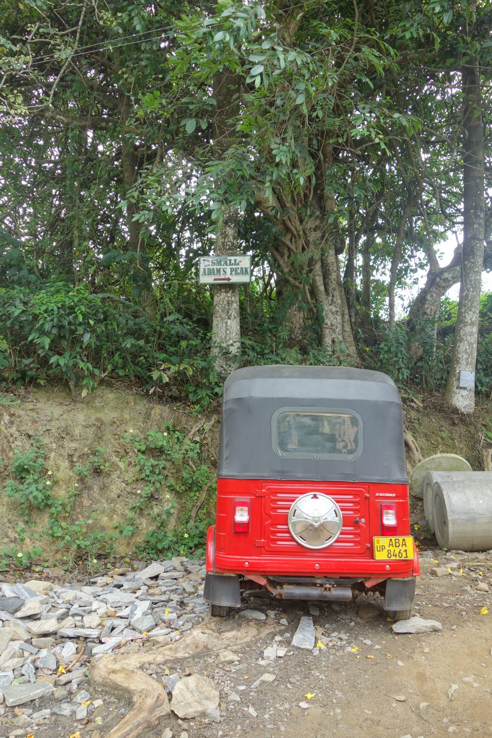 DSC03515