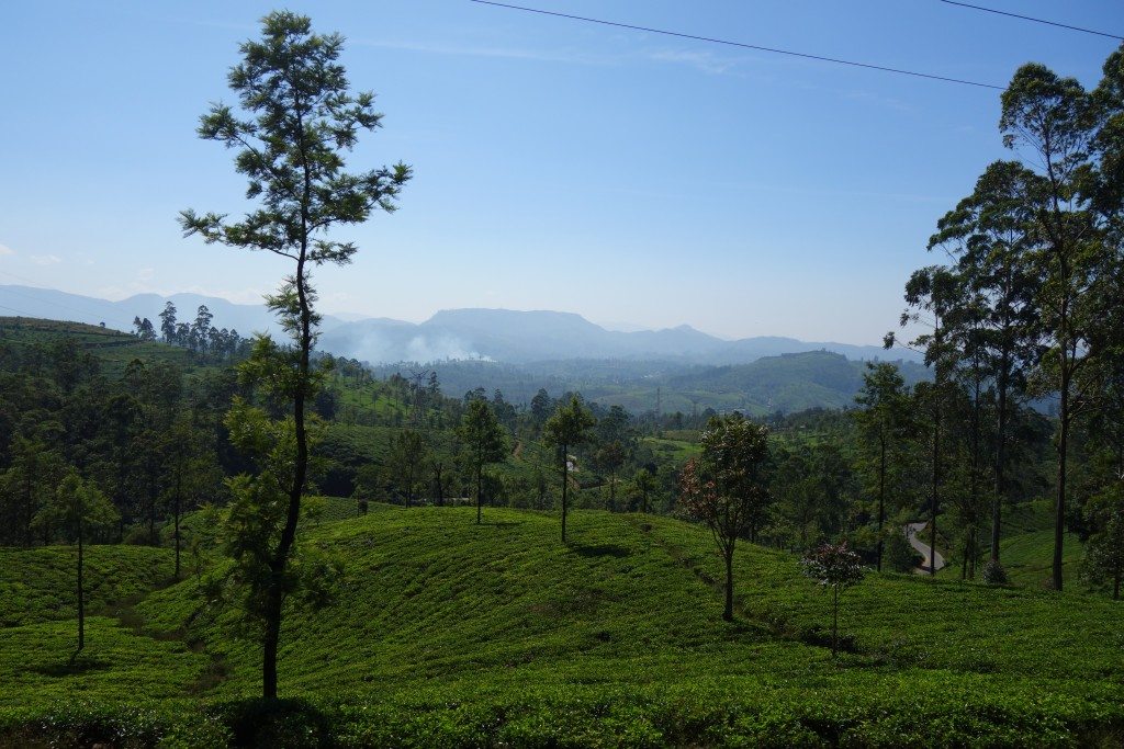 DSC03620
