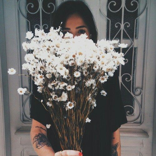 background-black-daisy-flowers-Favim.com-2325197