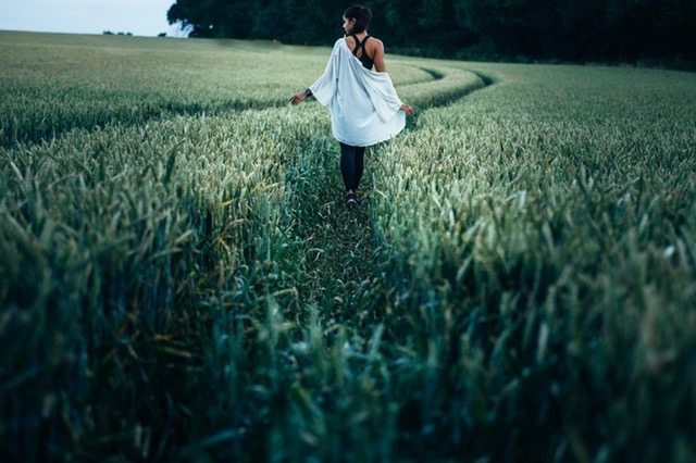 pexels-photo-175718