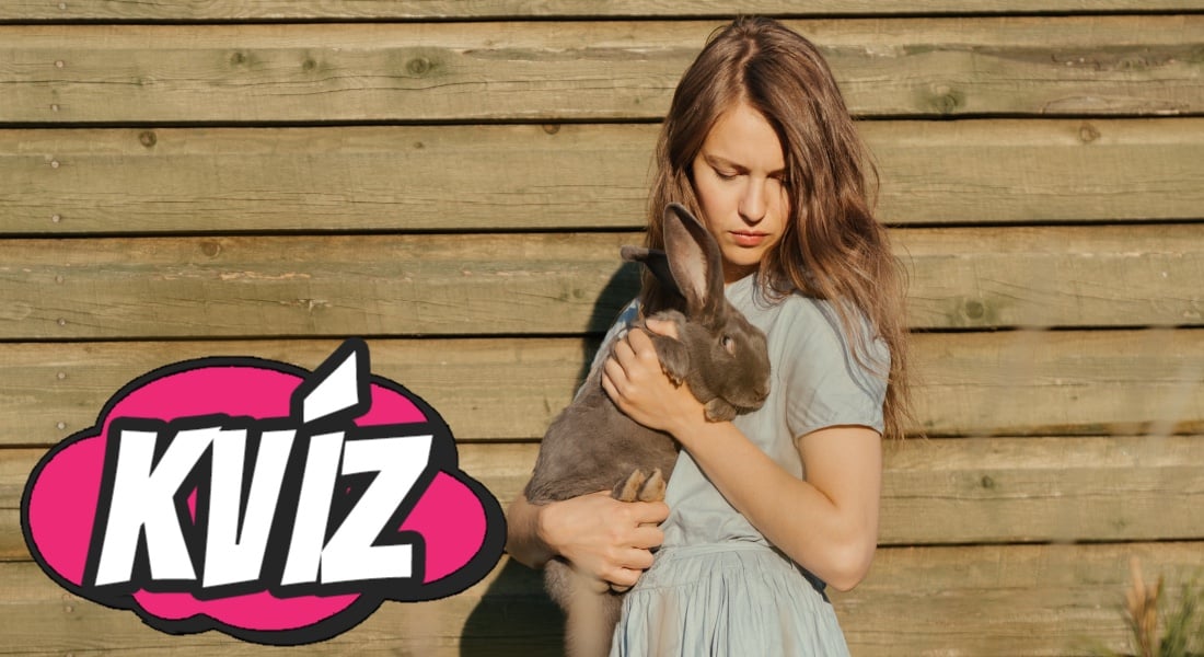 Žena drží v náručí zajaca