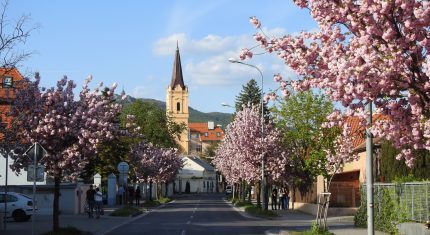 Nitra - miesta na Slovensku