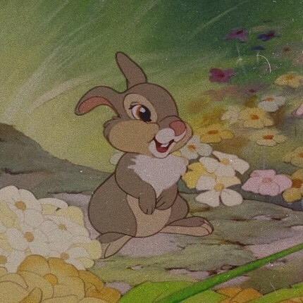 Disney zajac