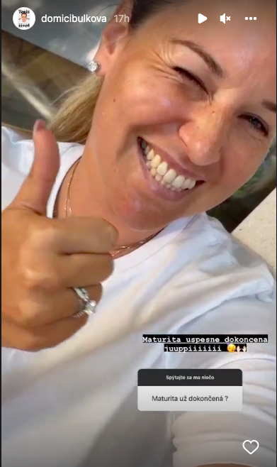 Instagram/domicibulkova