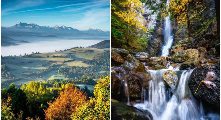Slovensko