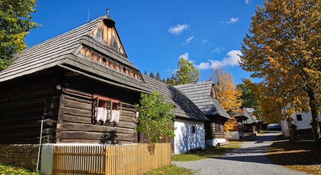Orava