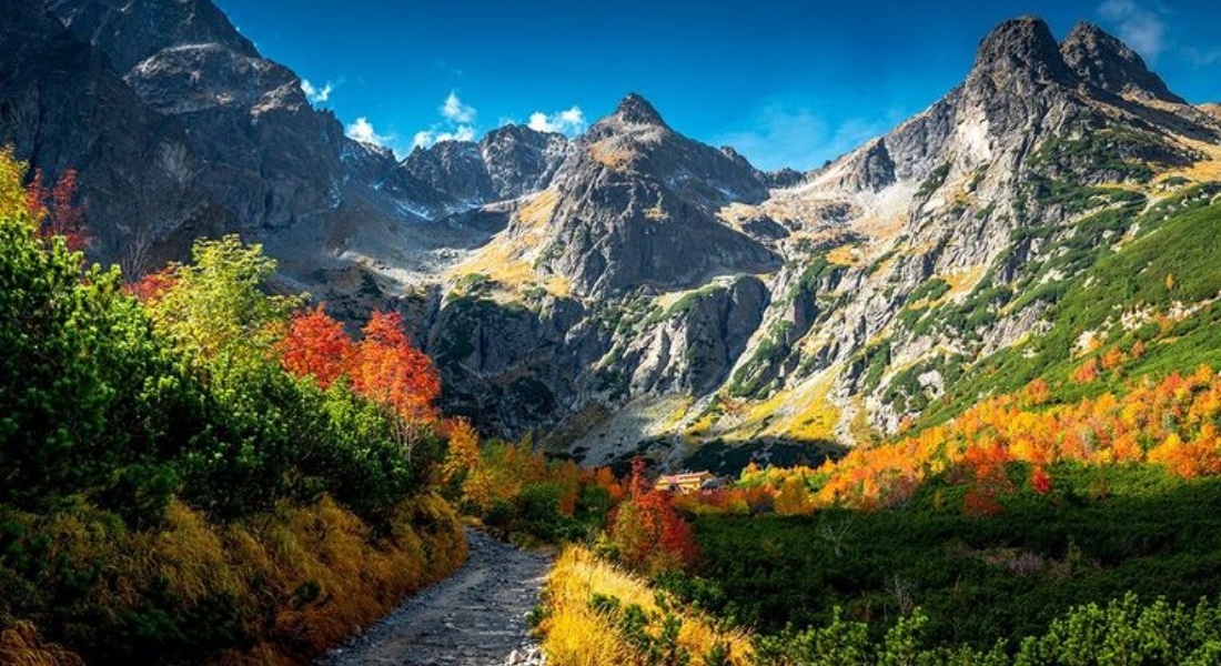 Zelené pleso