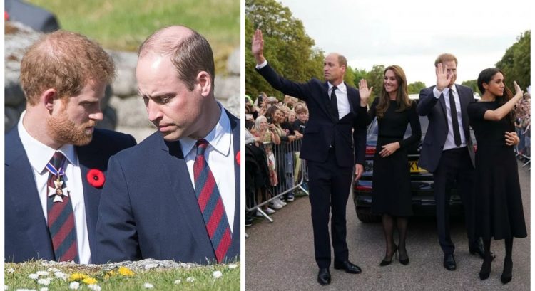 Harry a William