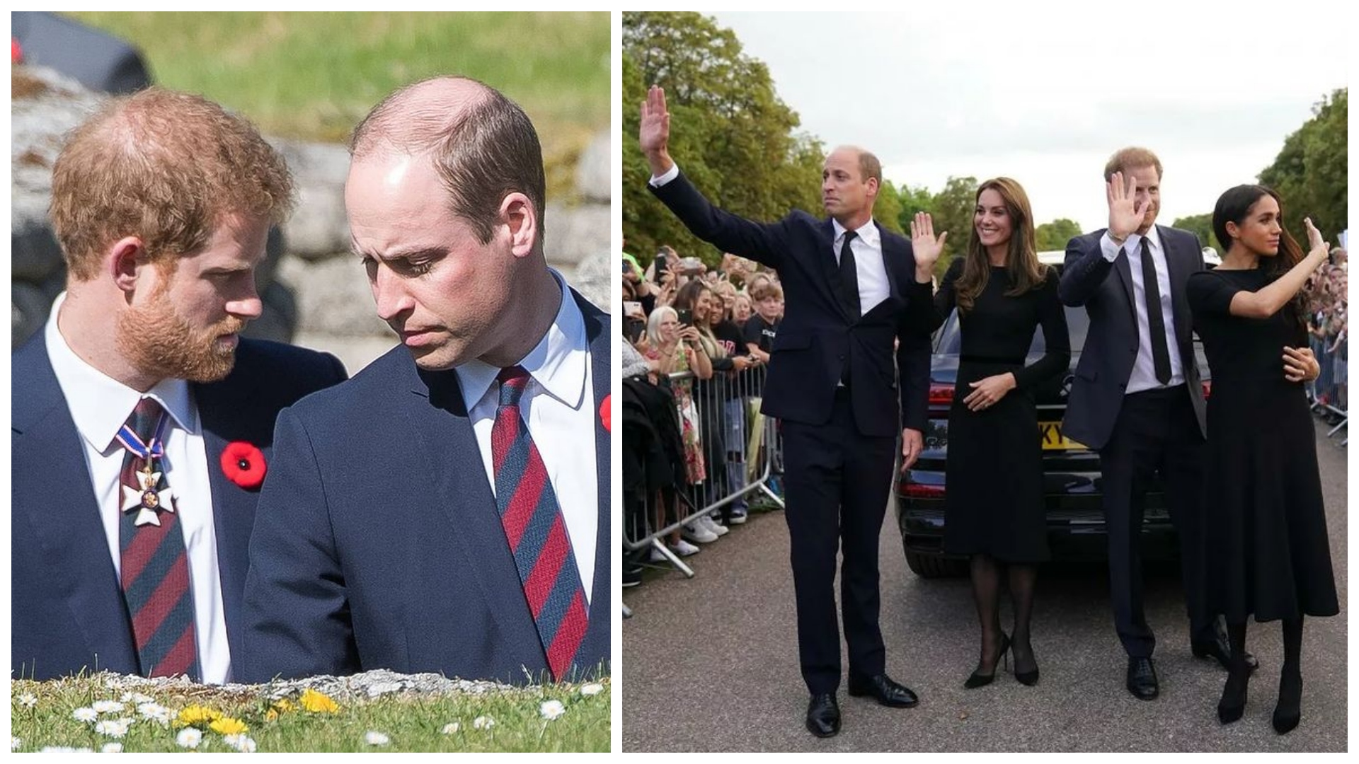Harry a William