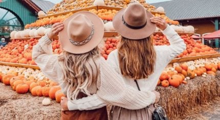 Dokonalé priateľstvo