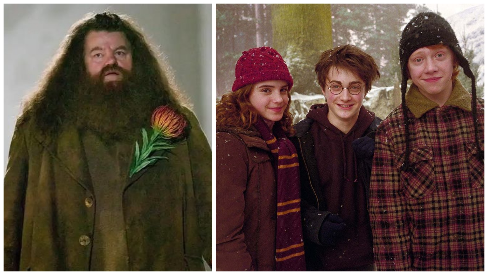 Hagrid z Harryho Pottera