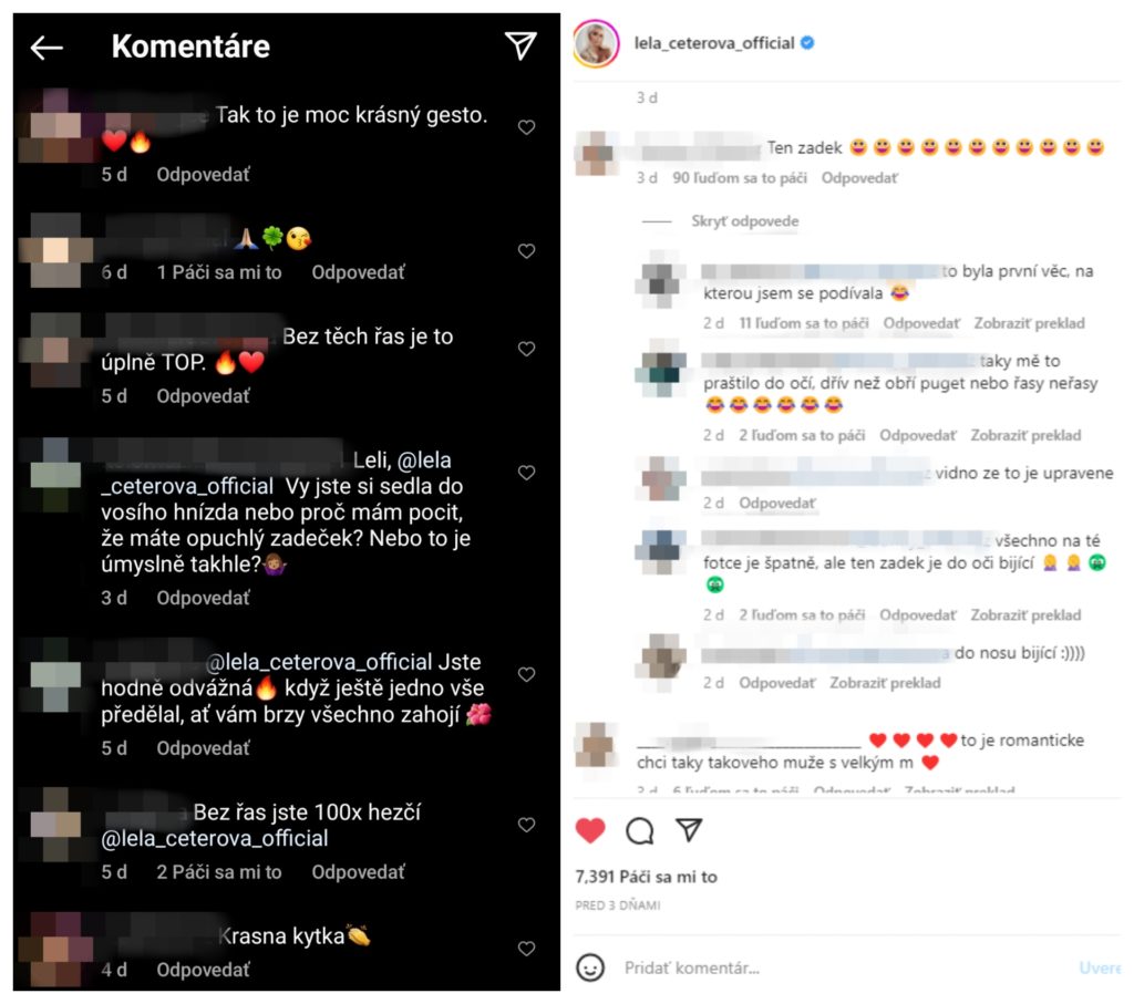 Lela Ceterová komentáre