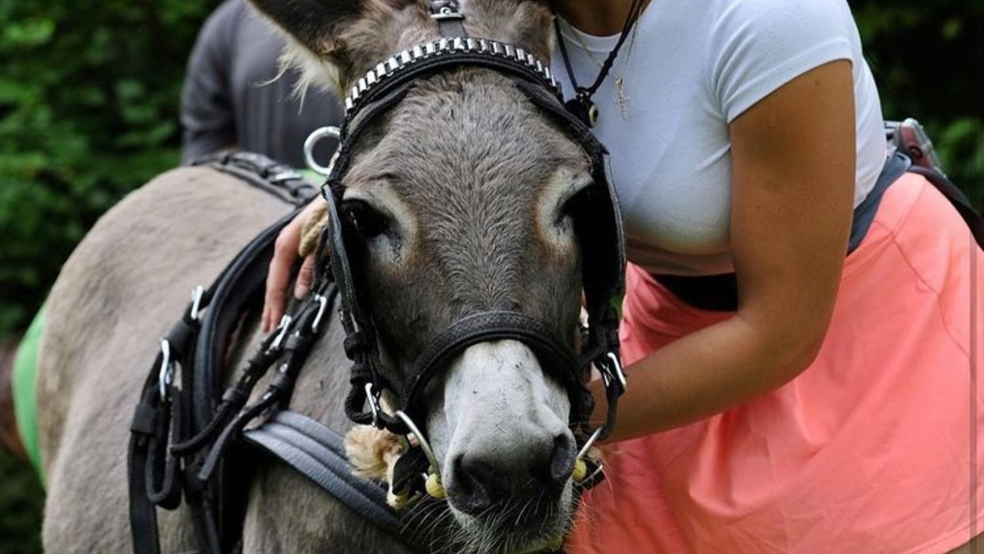 exfarmárka Stanka