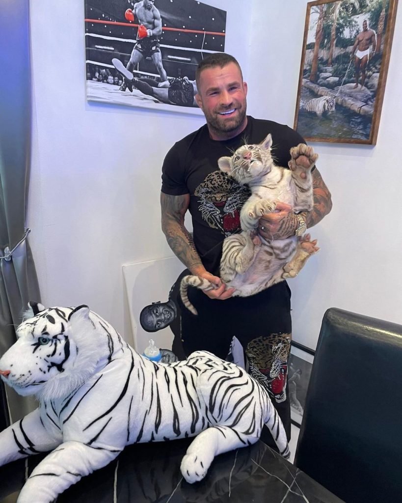 Vémola tiger