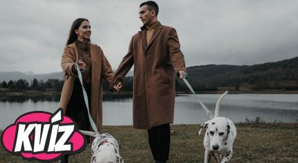 Dvojica venčí psy