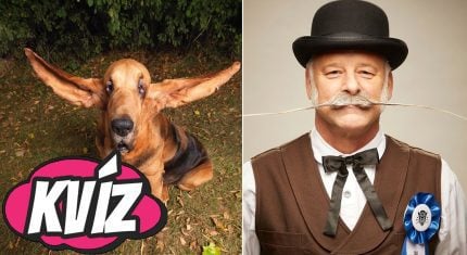 Svetové rekordy