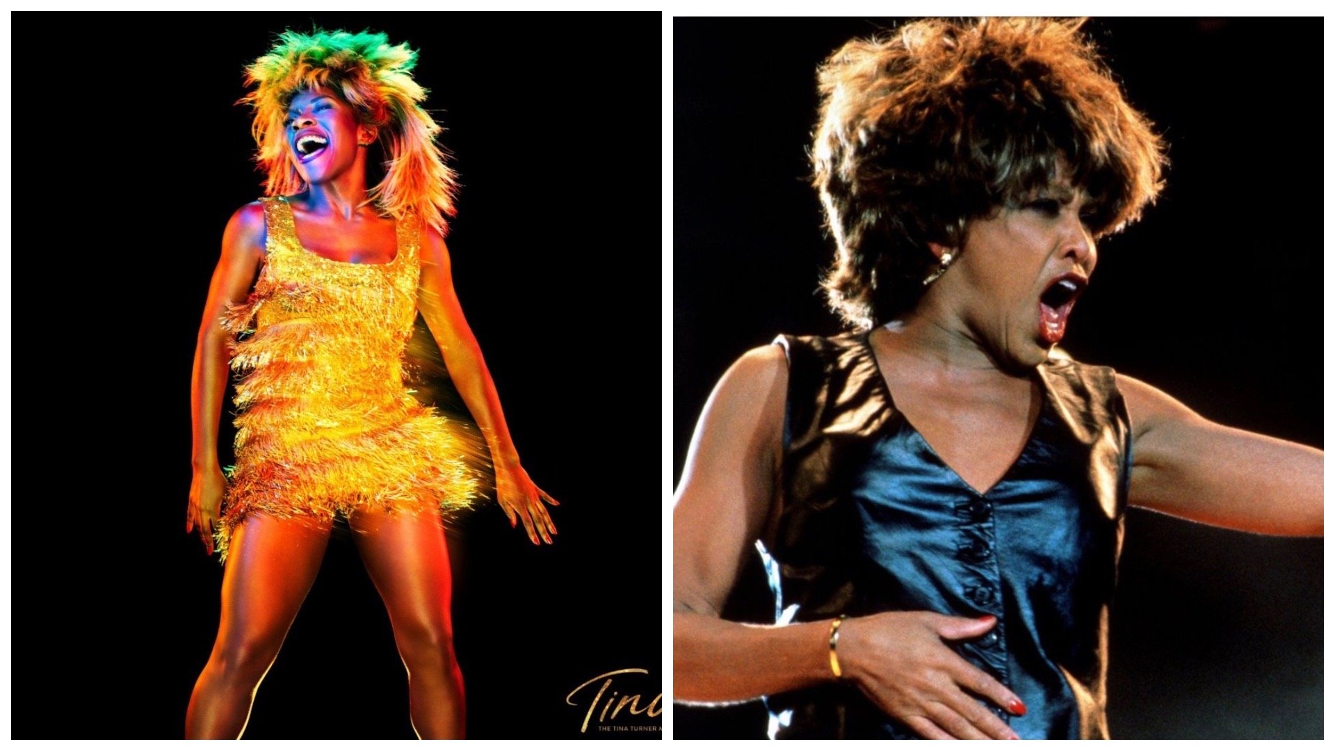 Zomrela speváčka Tina Turner