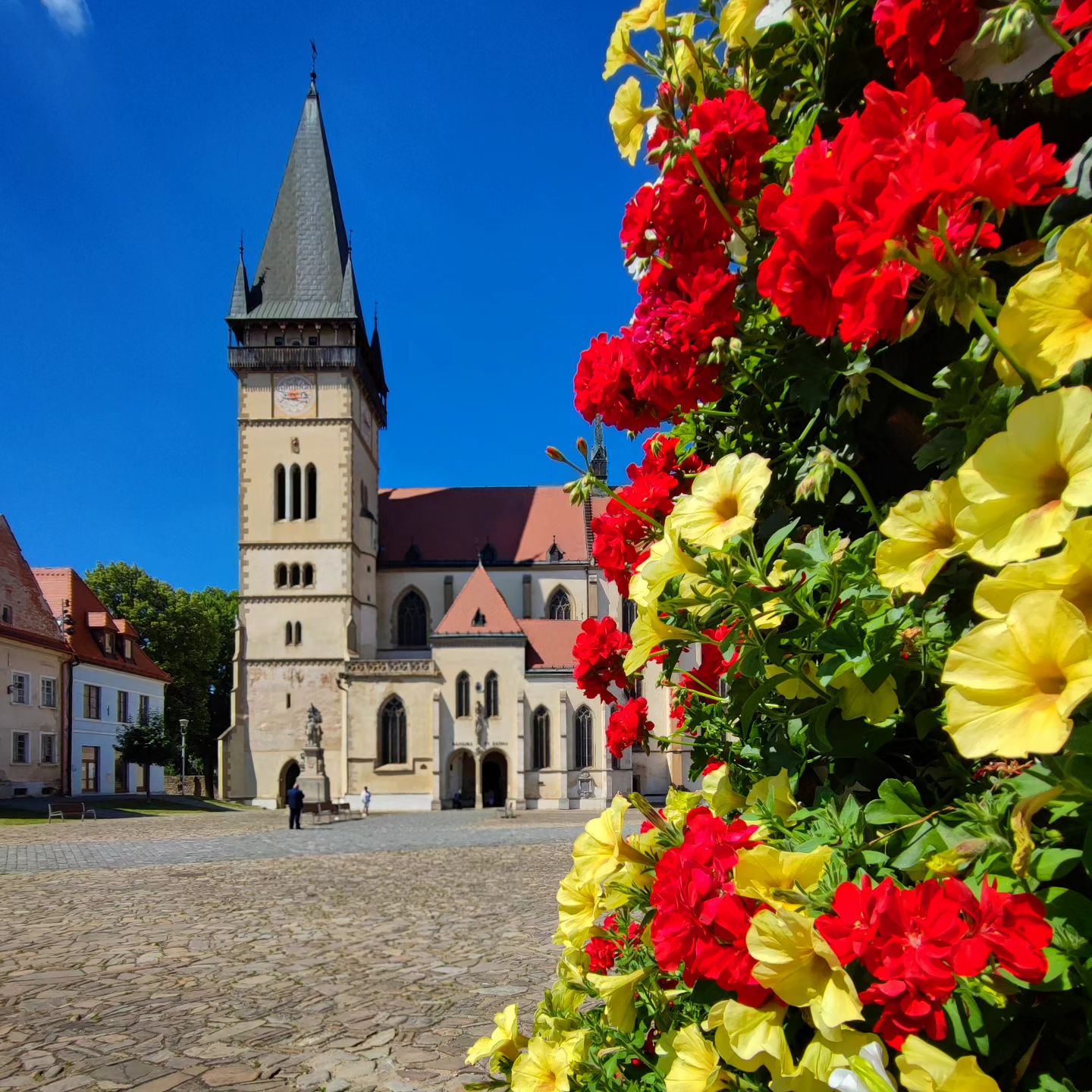 Bardejov