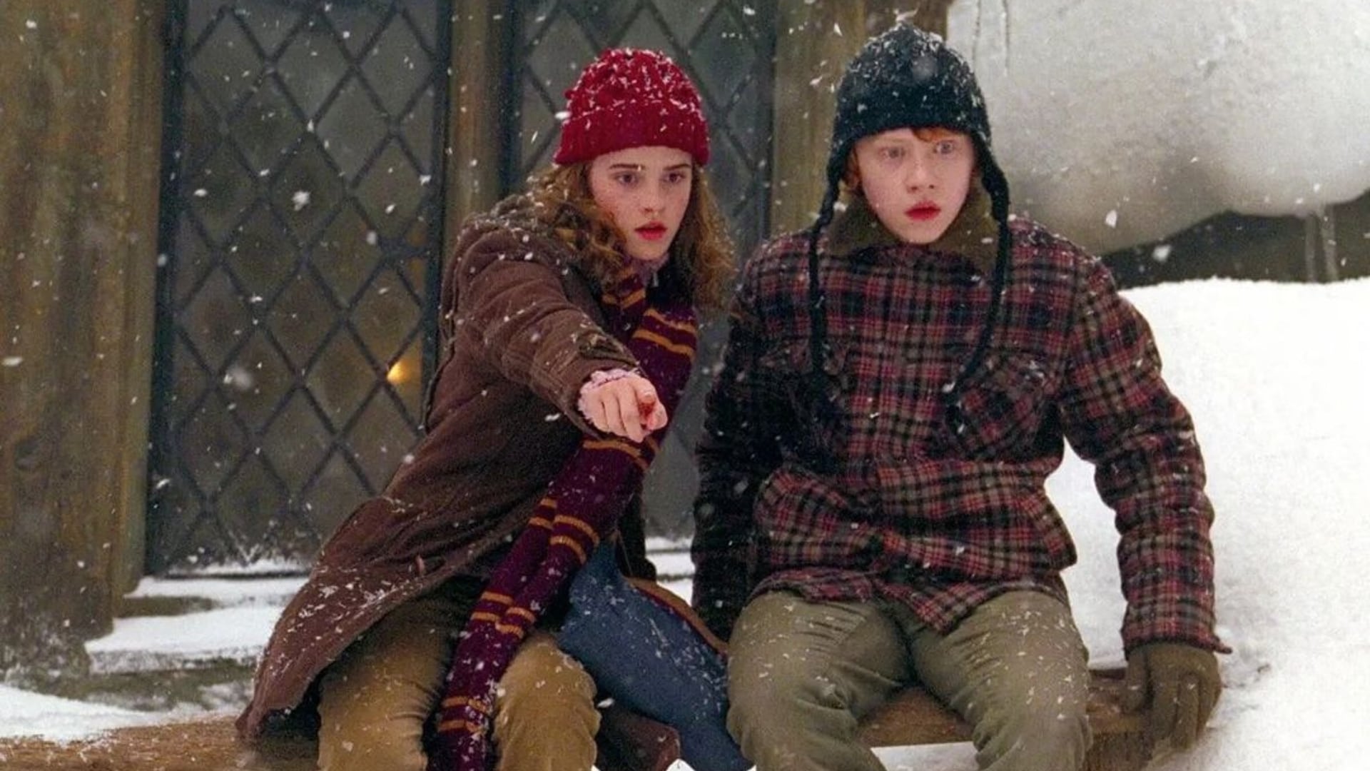 Ron a Hermiona