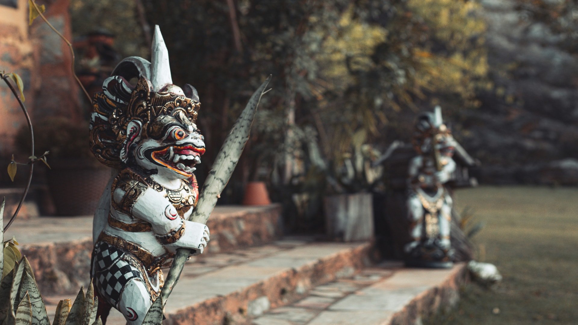 Ayahuasca obrad