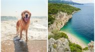 dog friendly pláže v chorvátsku