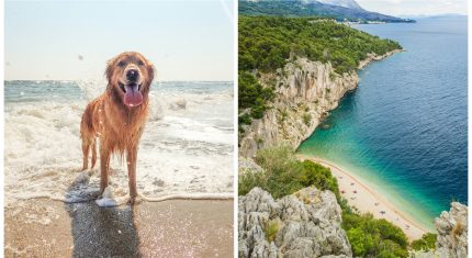 dog friendly pláže v chorvátsku