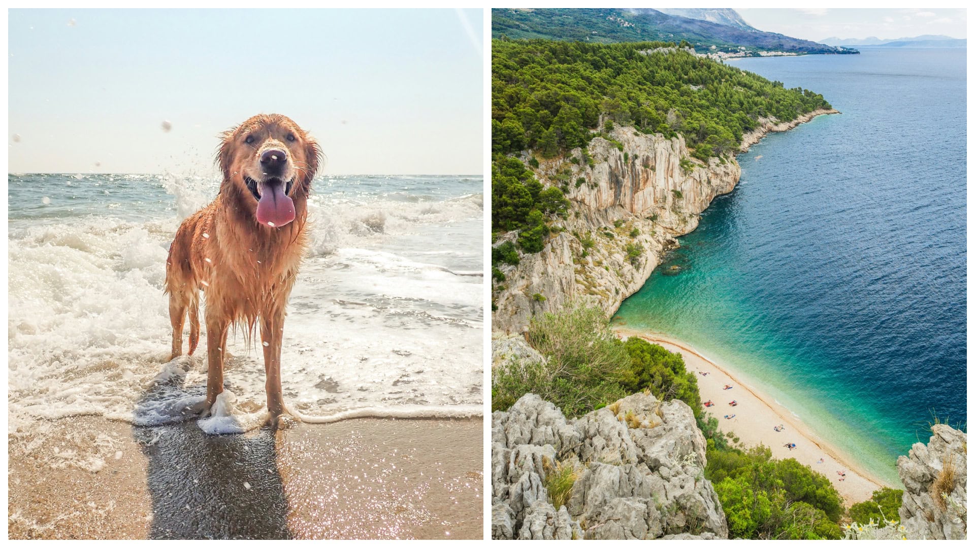 dog friendly pláže v chorvátsku