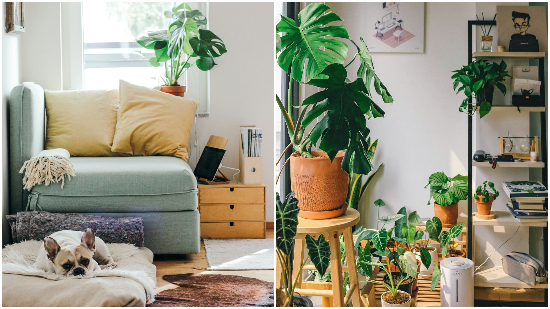 Pozor na tieto pasce: Môžu znehodnotiť váš domov za pár sekúnd