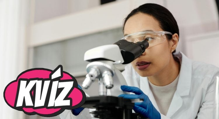 Pamätáš si ešte biológiu zo základnej školy? Prever svoje základné vedomosti