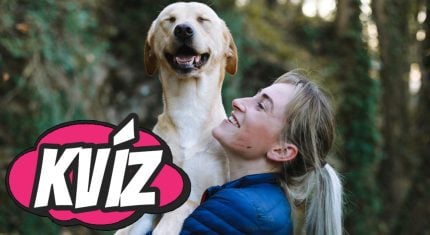 Kvíz, ktorý odhalí, či si skutočná milovníčka psov