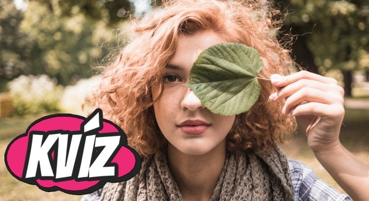 ktorý prírodný živel si_ zisti to v kvíze
