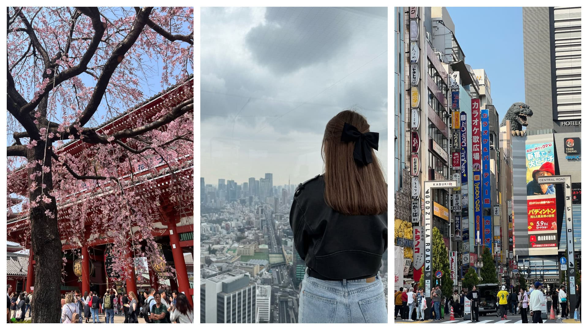 Navštívili sme Tokyo_ 10 miest