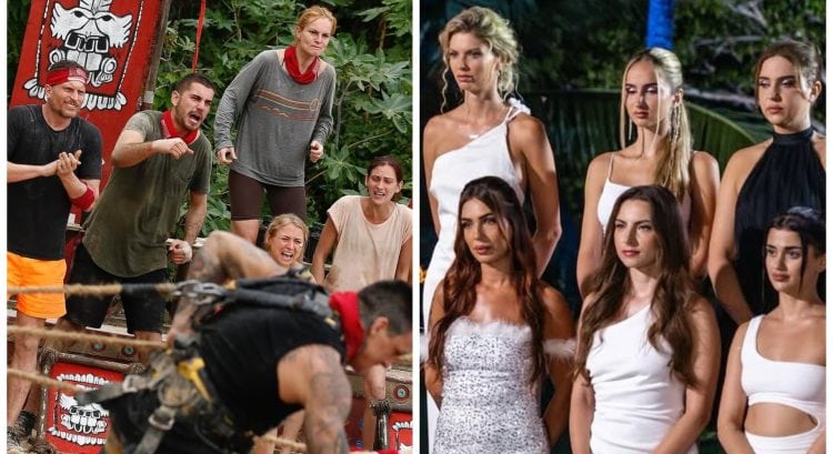 Šou Survivor a Ruža pre nevestu