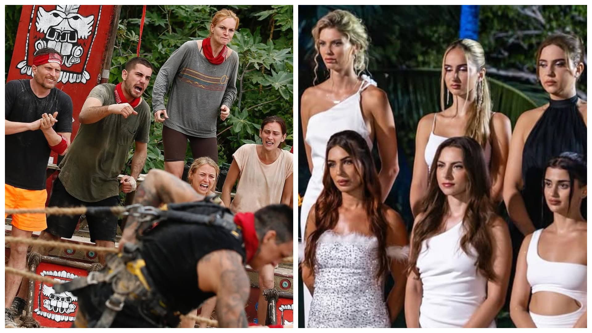 Šou Survivor a Ruža pre nevestu