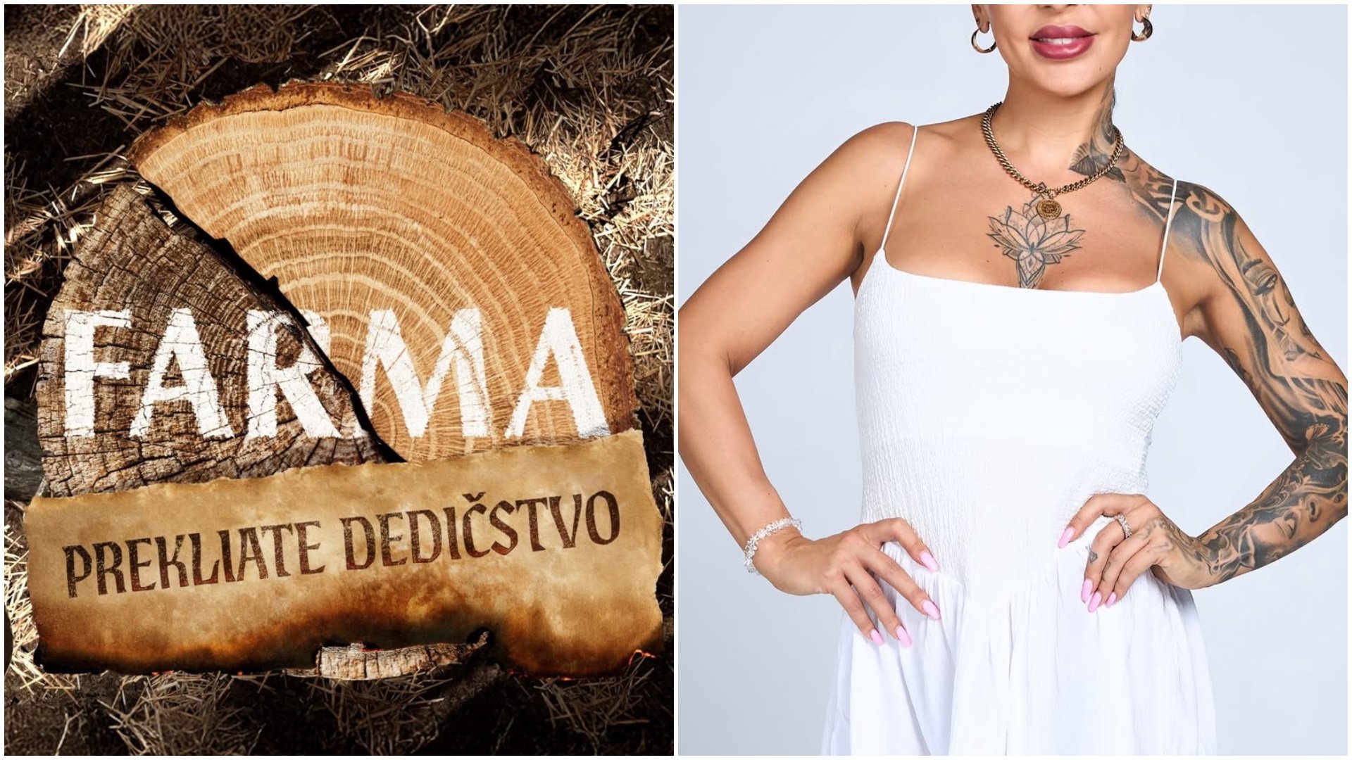 Finálna zostava šou Farma 17