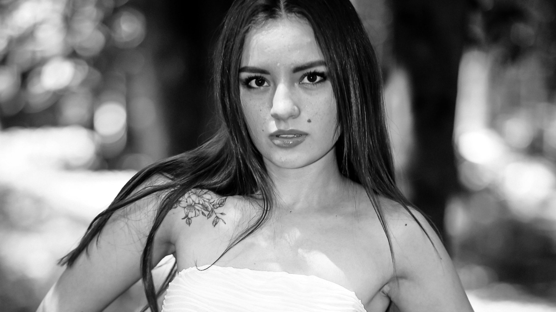 Znamenia a rekacie