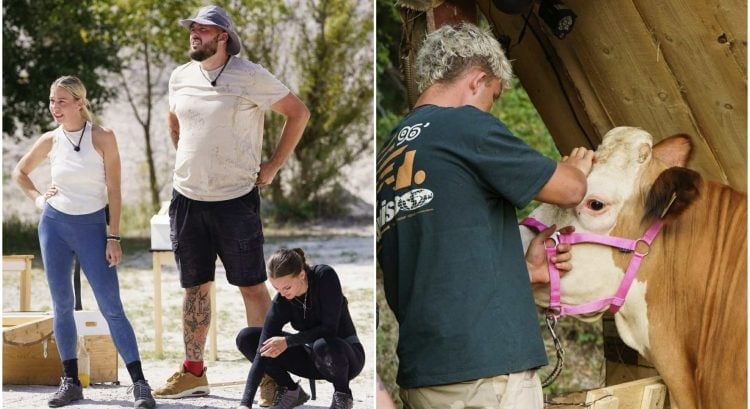 Má reality šou Farma potvrdený nový párik? Táto dvojica prekročila všetky medze