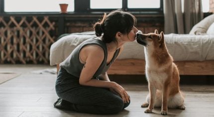 5 vecí, ktoré by si si mala pripraviť pred príchodom nového šteniatka: Vytvor mu domov plný lásky a bezpečia