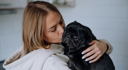 Čo všetko naučiť šteniatko v prvých mesiacoch života