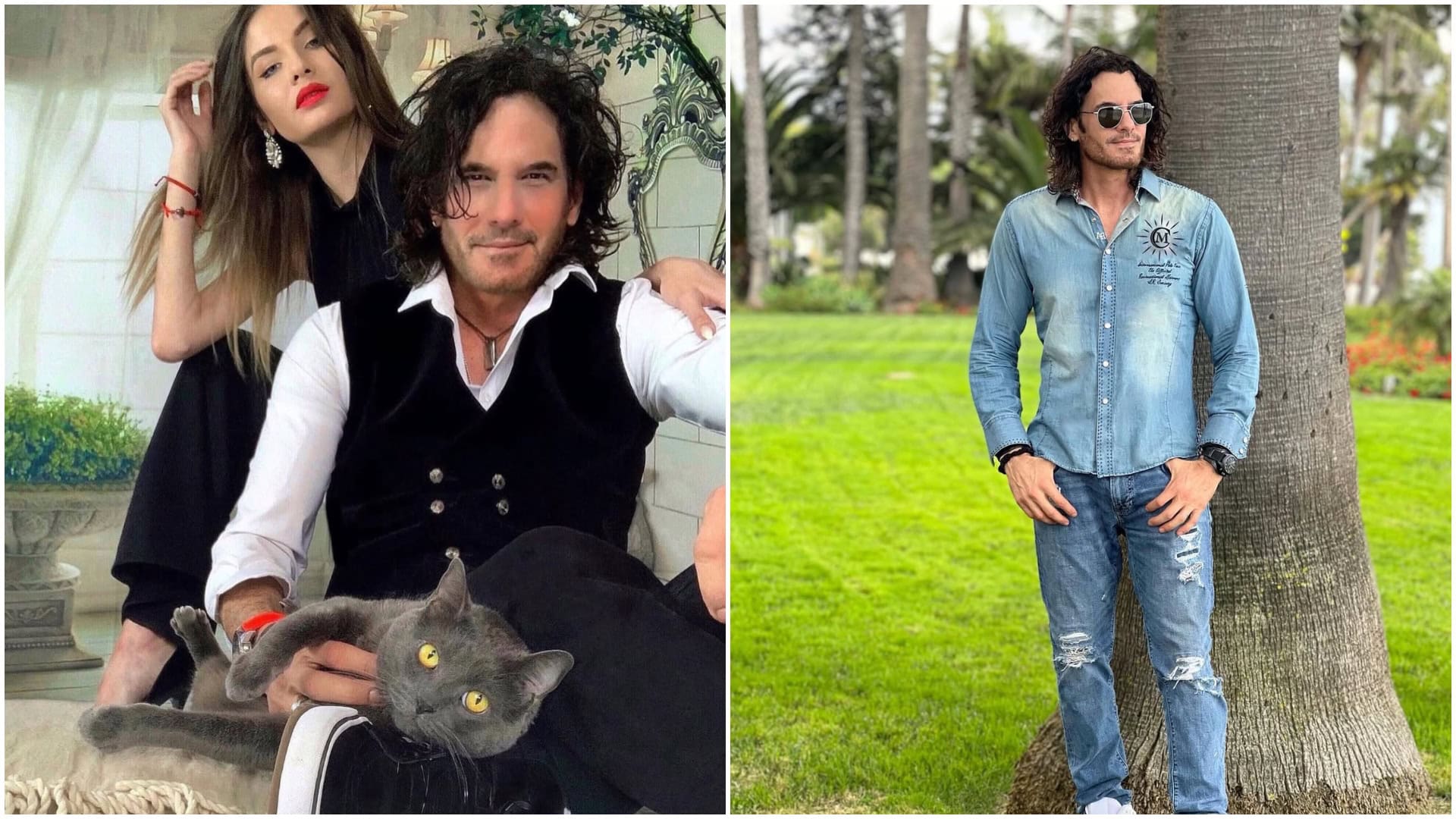 Kauza Gregušová a Cimarro