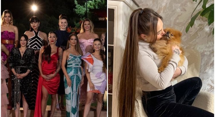 Kráska Ruža rozvod