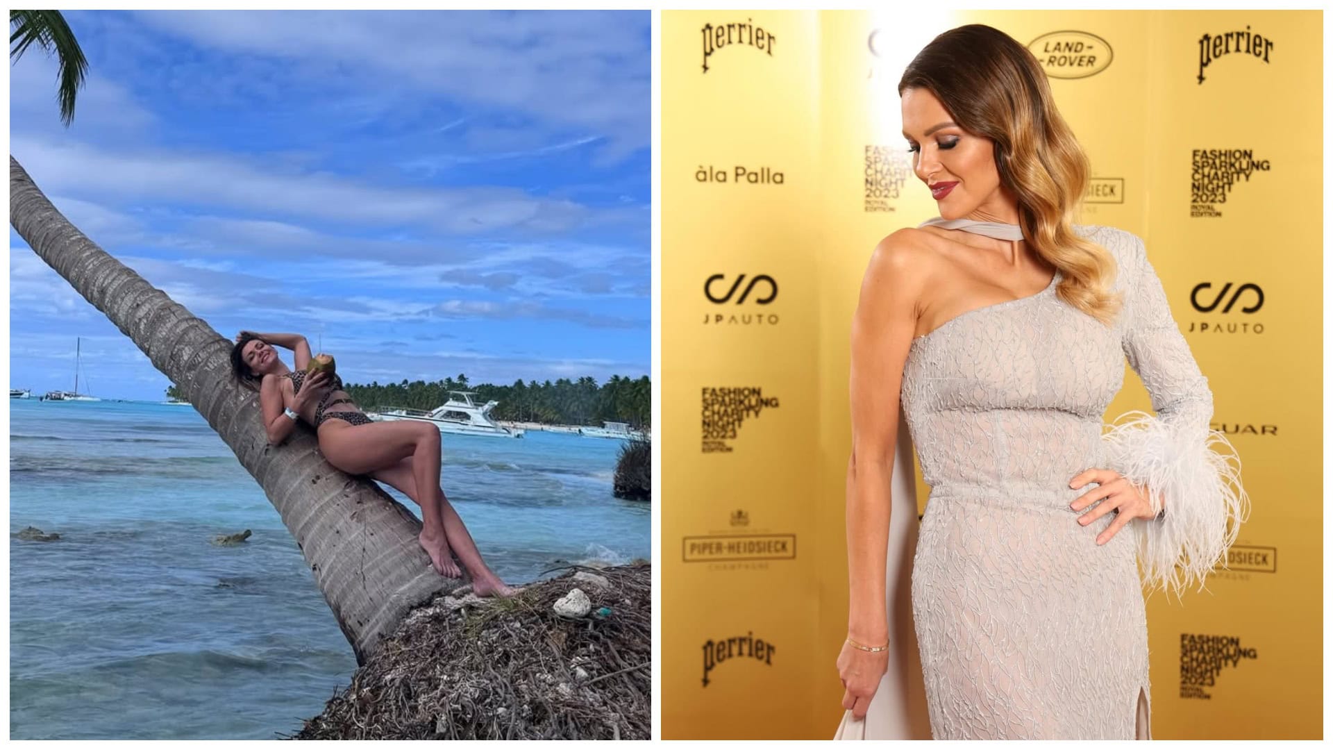 Slovenská speváčka úprava