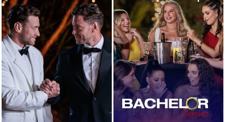 Šou Bachelor Česko